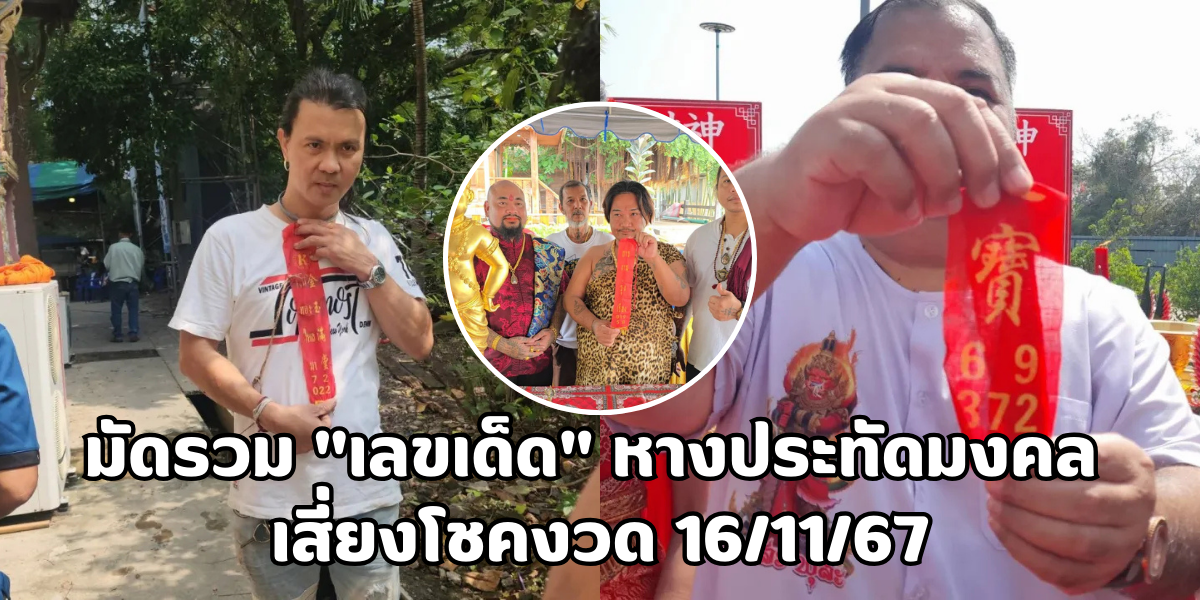 หางประทัดมงคล