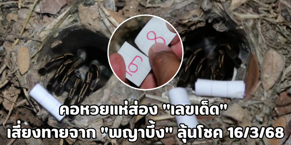 เลขเด็ด จาก พญาบึ้ง