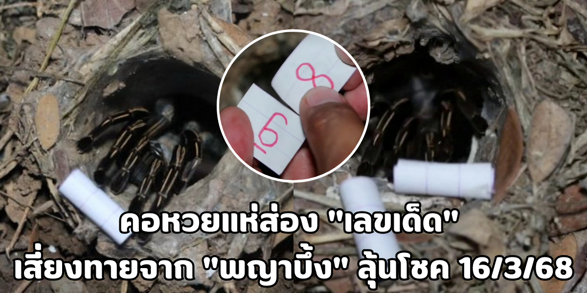 เลขเด็ด จาก พญาบึ้ง