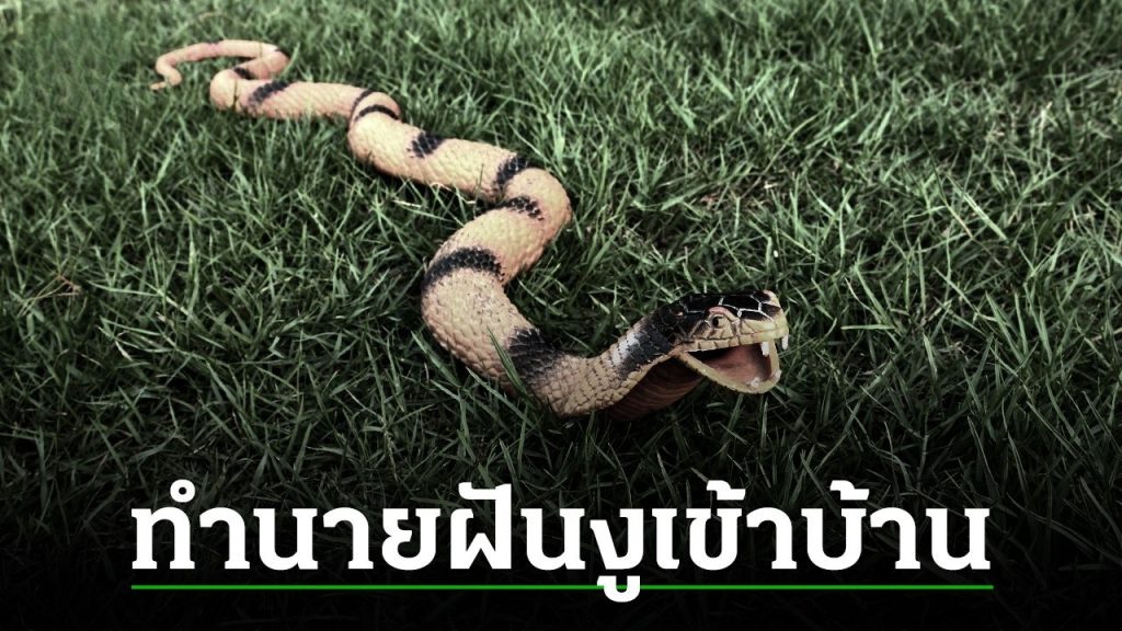 ฝันว่างูเข้าบ้าน