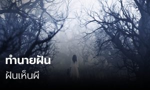 ฝันเห็นผี