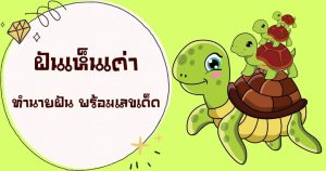 ฝันเห็นเต่า