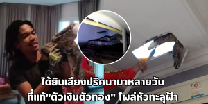 ตัวเงินตัวทอง