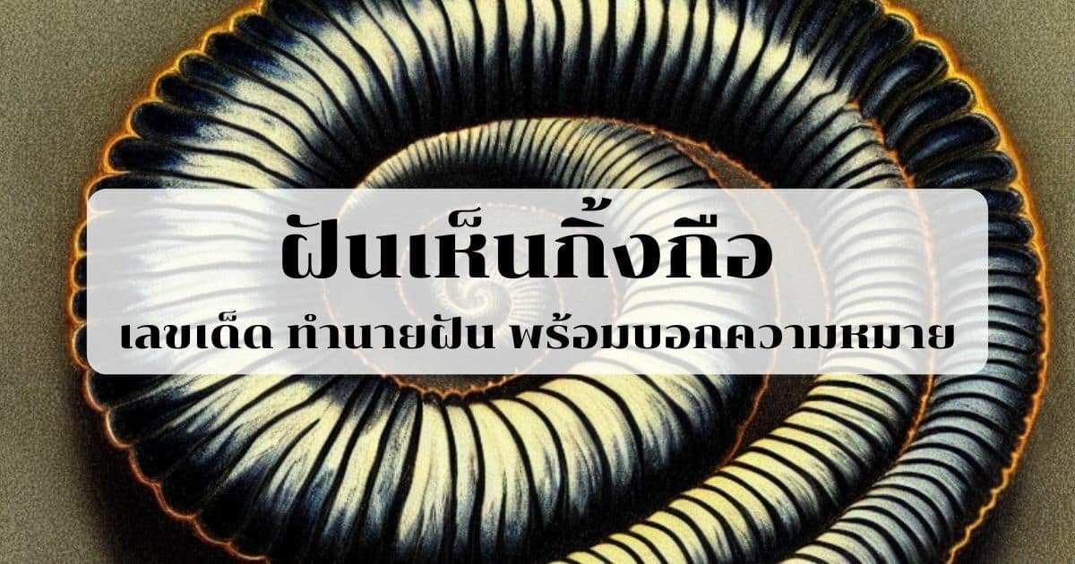 ฝันเห็นกิ้งกือ