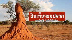 ฝันเห็นจอมปลวก