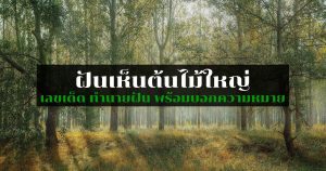 ฝันเห็นต้นไม้ใหญ่