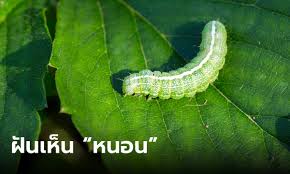 ฝันเห็นหนอน