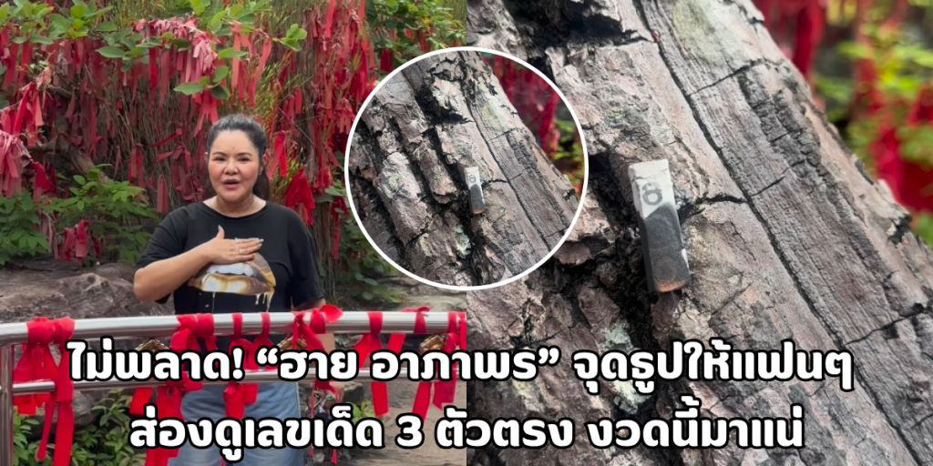 ฮาย อาภาพร