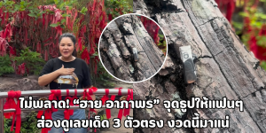 ฮาย อาภาพร