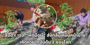 เห็ดมือผี