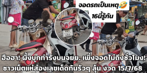 ผึ้งบุกทำรังบน จยย.