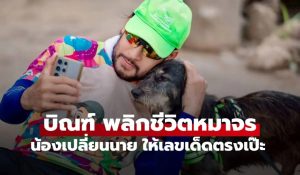 หมาจรสู่เซเลปสี่ขา