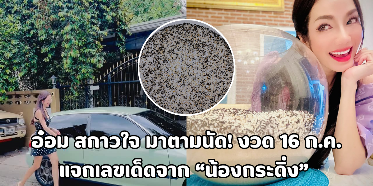 อ๋อม สกาวใจ