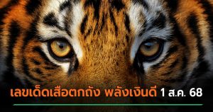 เปิดโพยเลขเด็ดเสือตกถัง
