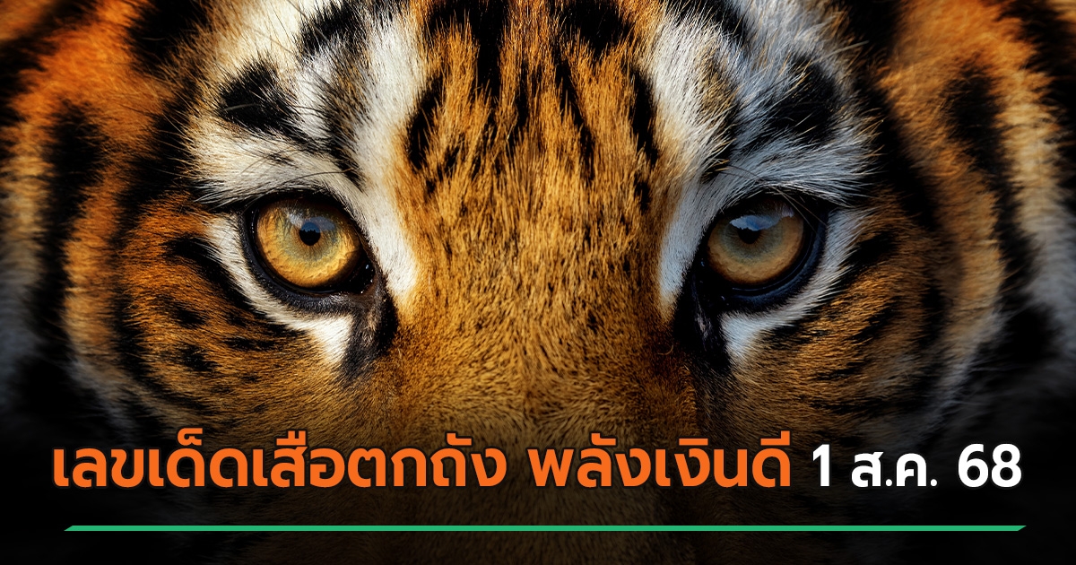 เปิดโพยเลขเด็ดเสือตกถัง