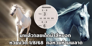 เลขเด็ดม้าสีหมอก