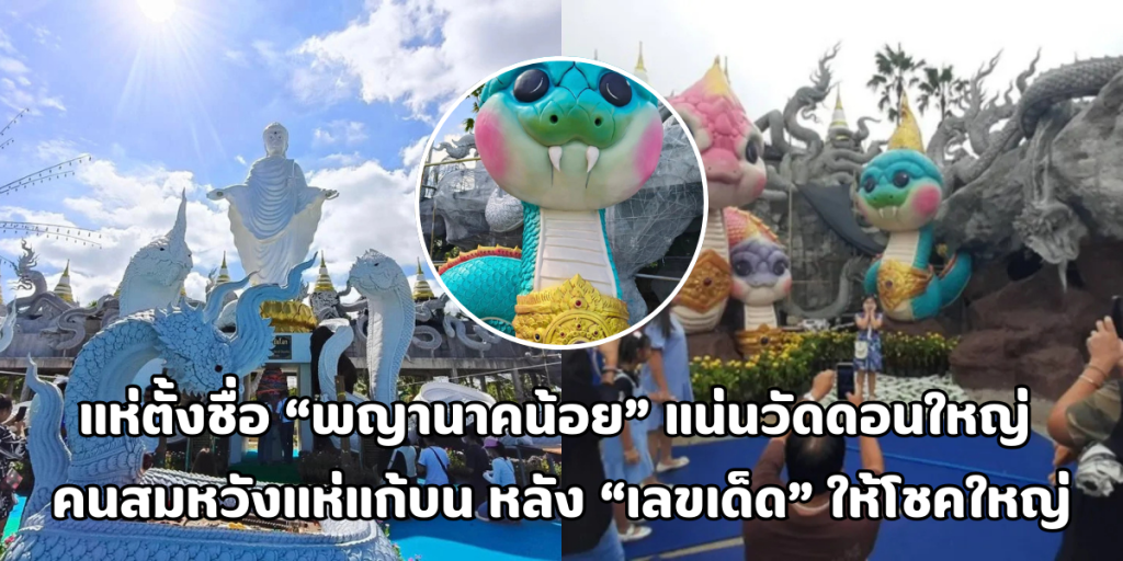 พญานาคน้อย