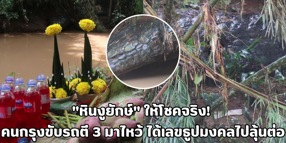 หินงูยักษ์