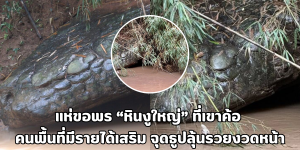 หินงูใหญ่
