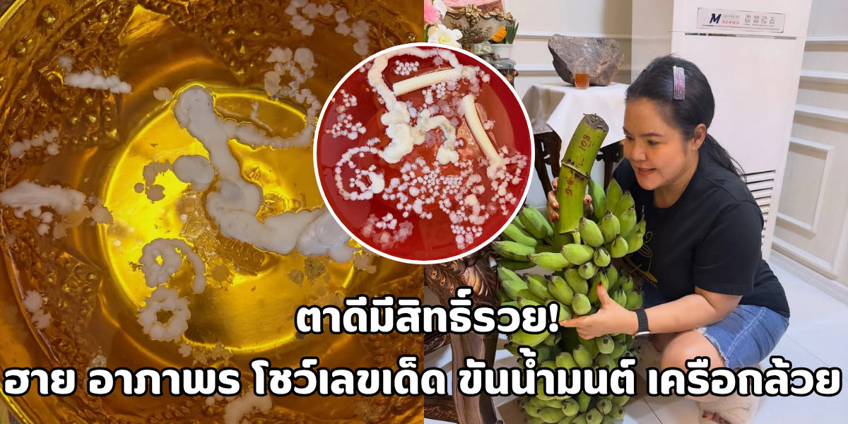 ฮาย อาภาพร เอาใจคอหวย