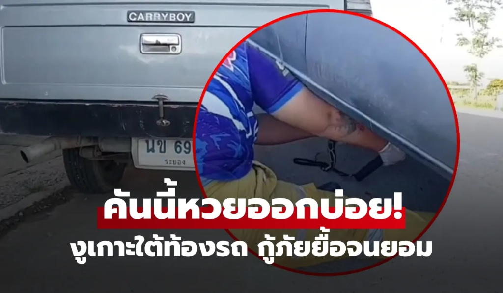 ไม่รอดงูเกาะใต้รถ