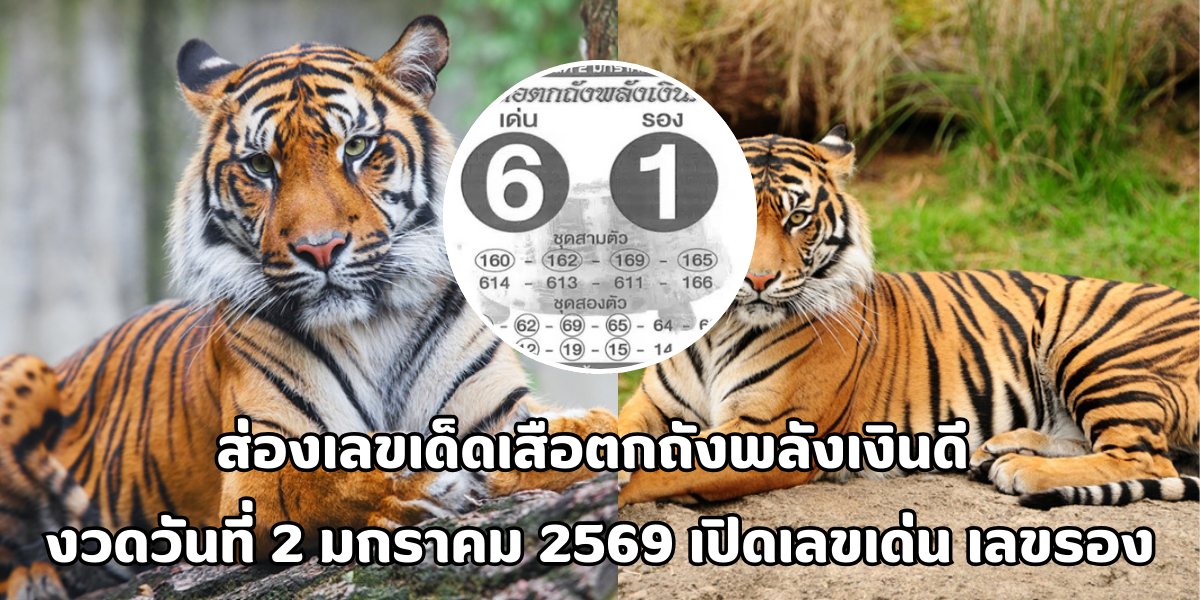 เลขเด็ดเสือตกถังพลังเงินดี งวดวันที่ 2 มกราคม 2569