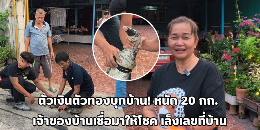 ตัวเงินตัวทองบุกบ้าน