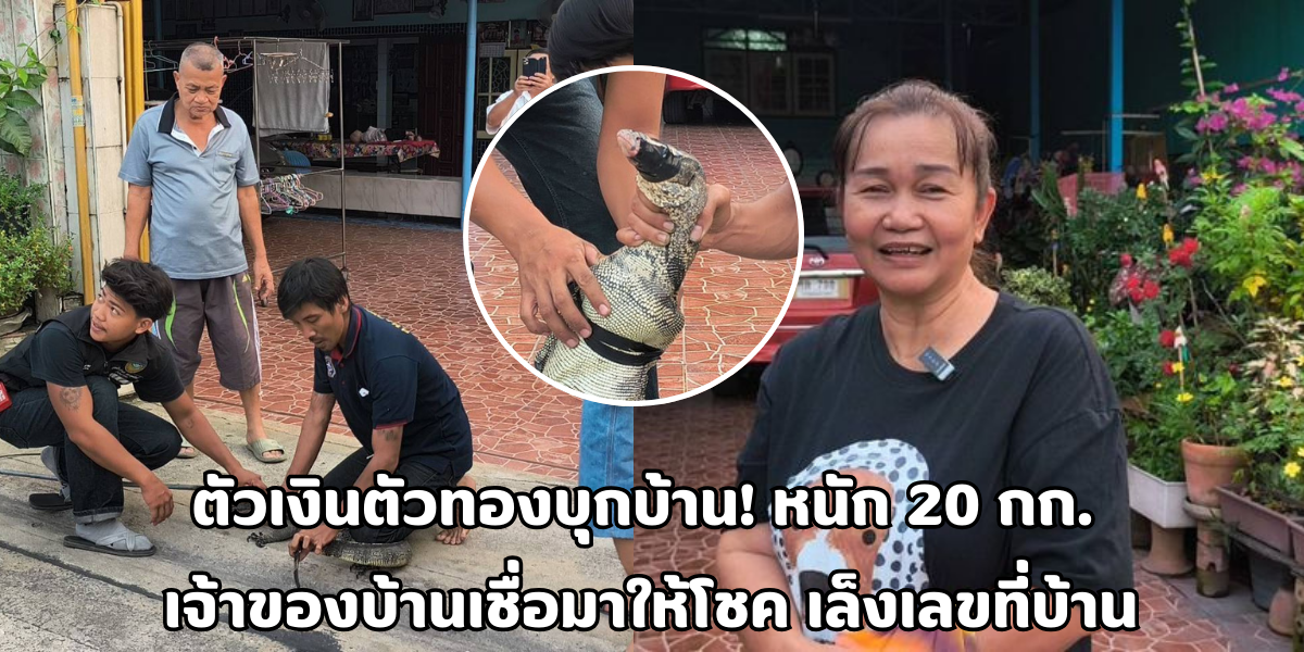 ตัวเงินตัวทองบุกบ้าน