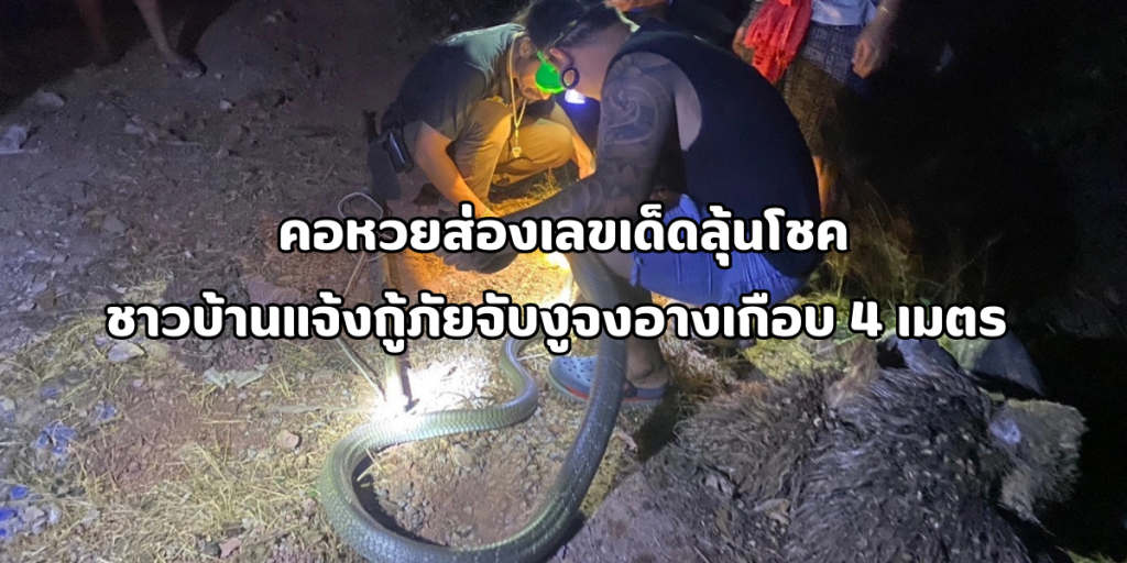 งูจงอาง