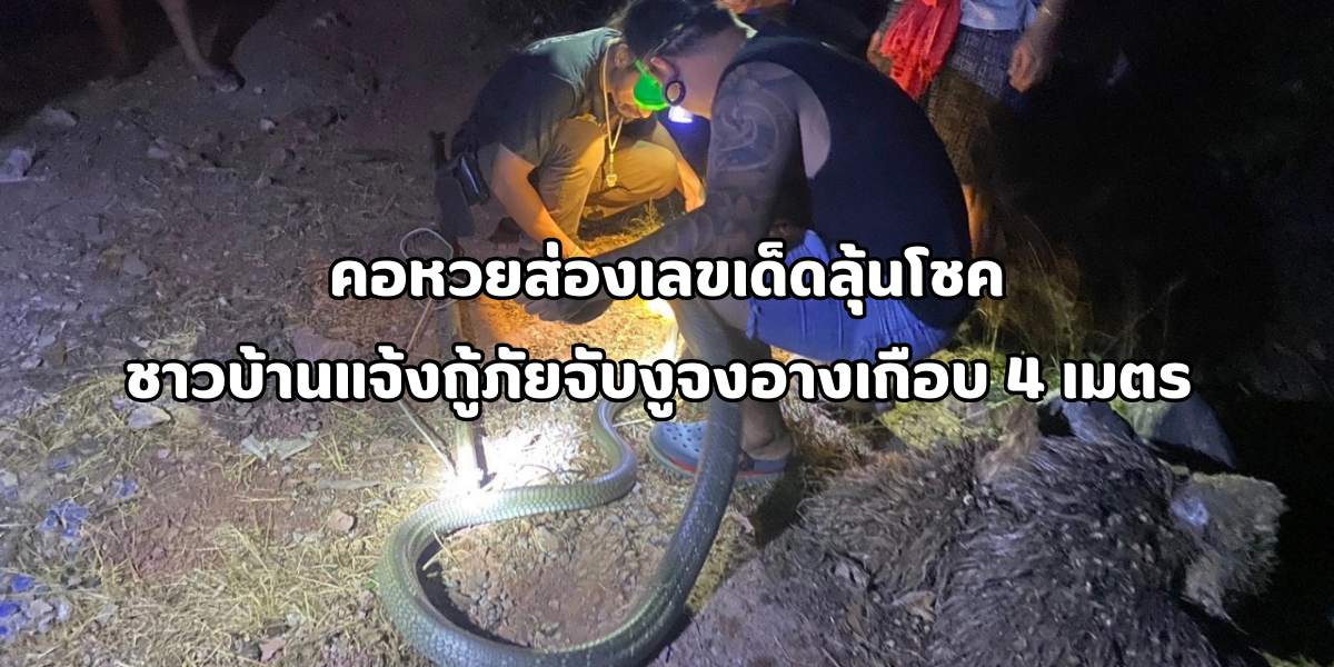 งูจงอาง