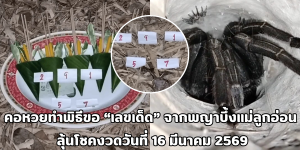 พญาบึ้งแม่ลูกอ่อน