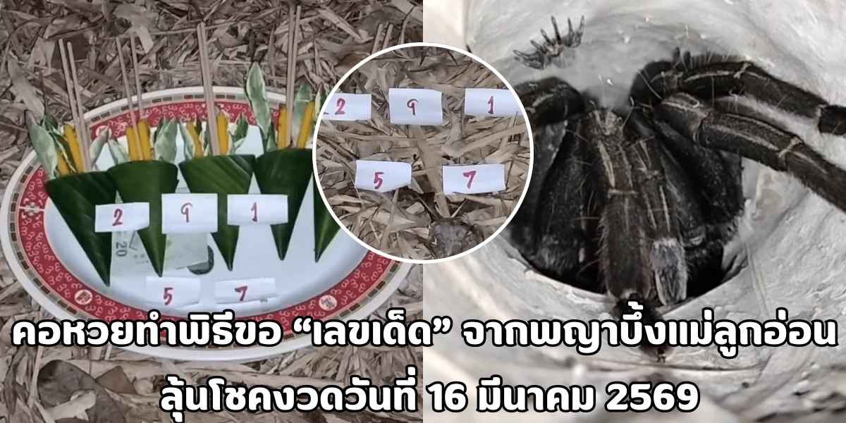 พญาบึ้งแม่ลูกอ่อน