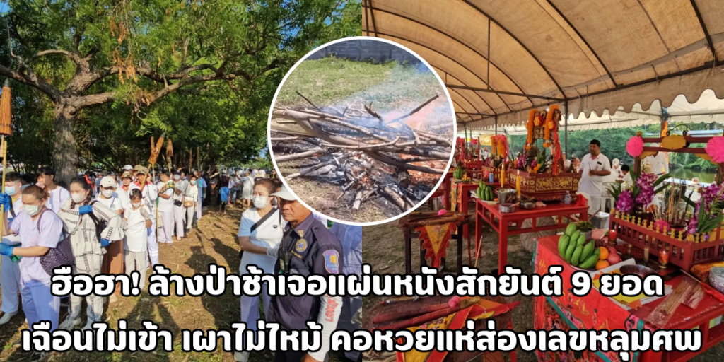 ล้างป่าช้า